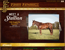 Tablet Screenshot of futurefortunesinc.com